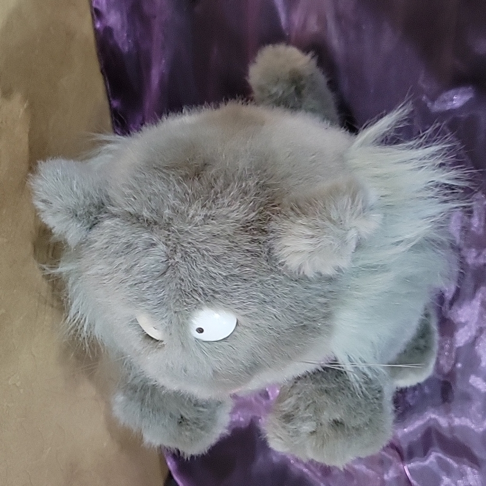 Vintage Sandra Boynton Plush Claude Debussycat Zoominary Cat - Picture 6 of 9